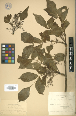 LE 01007692