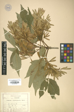 LE 01007695