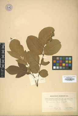 LE 01007696