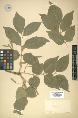 LE 01007698