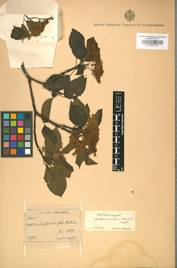 LE 01007710