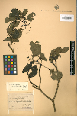 LE 01007711