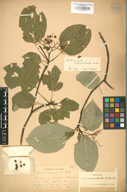 LE 01007712