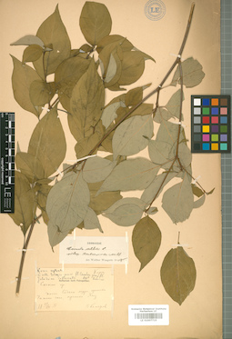 LE 01007715
