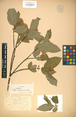 LE 01007716