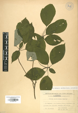 LE 01007720