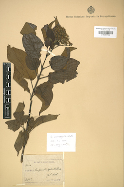 LE 01007722