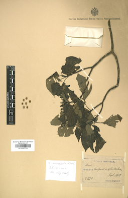 LE 01007723