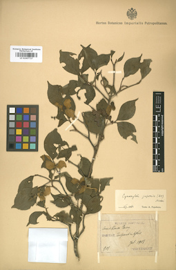 LE 01007727