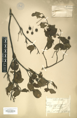 LE 01007730