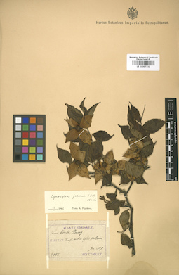 LE 01007731