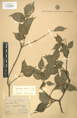 LE 01007733
