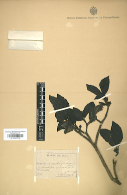 LE 01007738