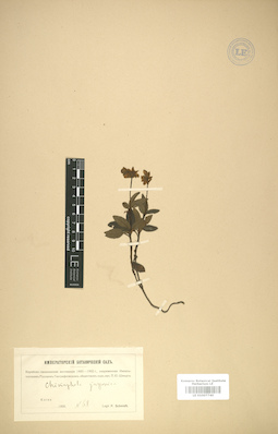 LE 01007740