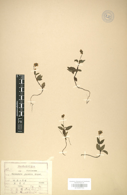 LE 01007741