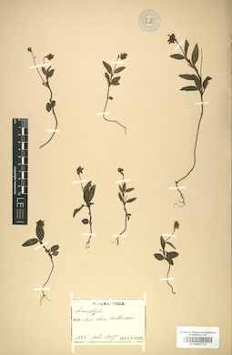 LE 01007742