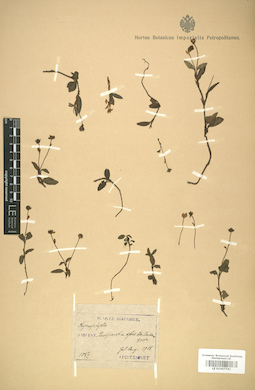 LE 01007743