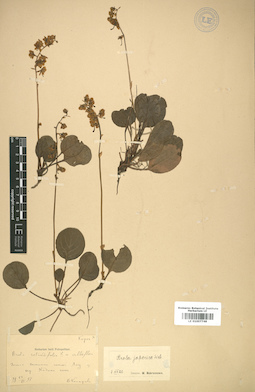 LE 01007748