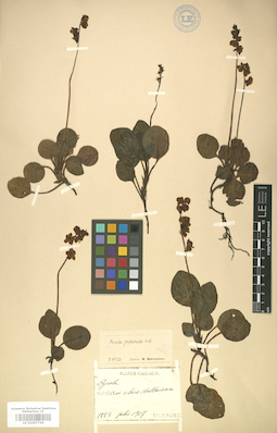 LE 01007749