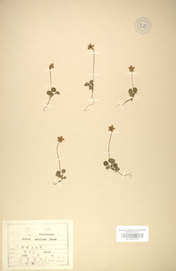 LE 01007752
