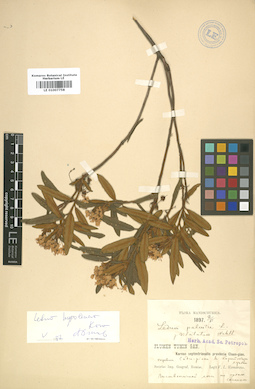 LE 01007758