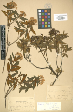 LE 01007759