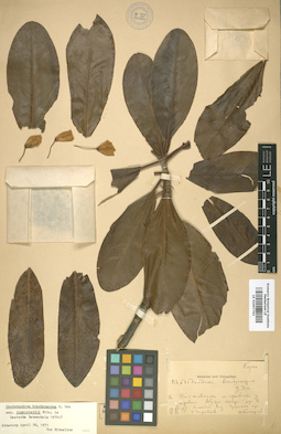 LE 01007763