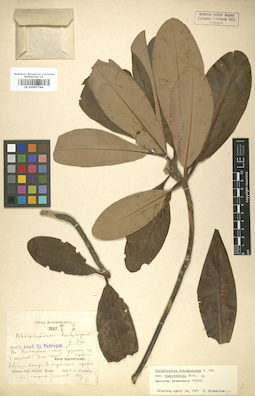 LE 01007764