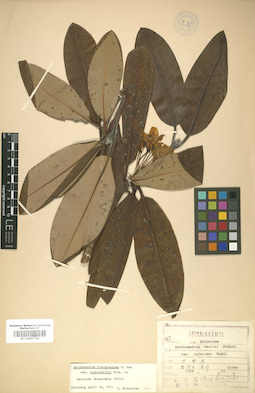 LE 01007765