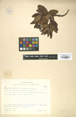 LE 01007766