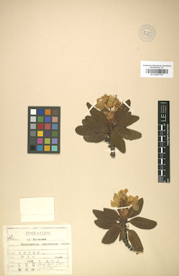 LE 01007767