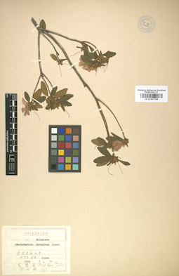 LE 01007768