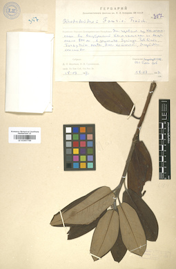 LE 01007769