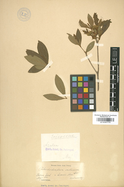 LE 01007770
