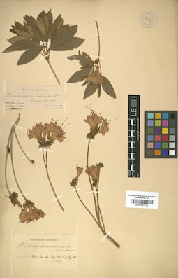LE 01007771