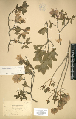 LE 01007773