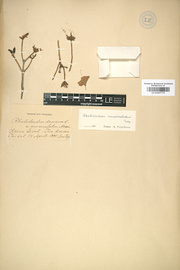 LE 01007775