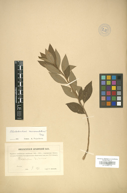 LE 01007778
