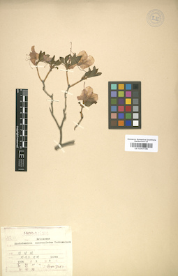 LE 01007780
