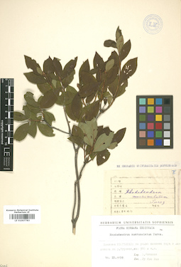 LE 01007783