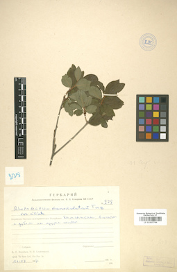 LE 01007784