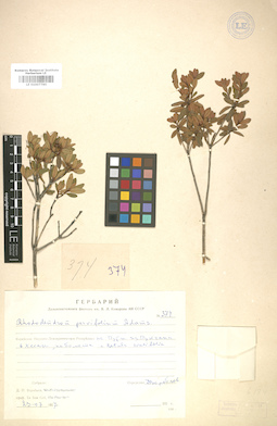 LE 01007785