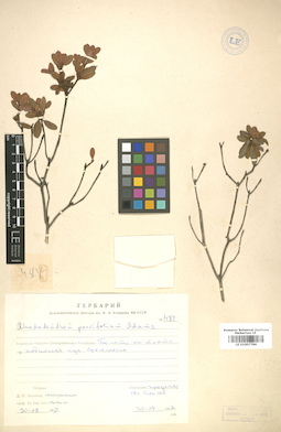 LE 01007786