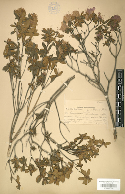 LE 01007788