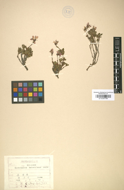 LE 01007789