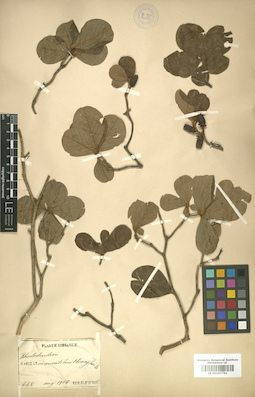 LE 01007791