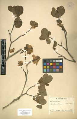 LE 01007792