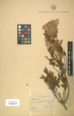 LE 01007793