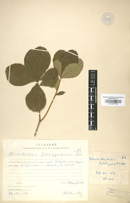 LE 01007796