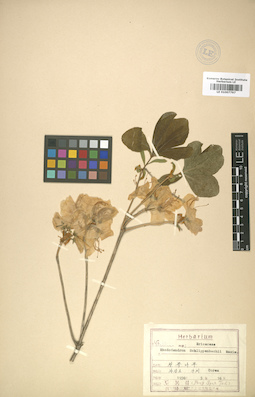 LE 01007797